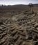 Tracks from heavy machinery in muddy farmland showing farming technics from around the world
