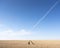 Tracks in vast expanse of wheat crop in french field