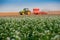 Tractor in the agricultural field mechanism. Tractor plowing land