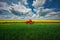 Tractor in the agricultural fields and dramatic clouds