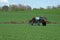 Tractor with agricultural sprayer machine