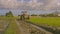 Tractor Approaches Camera on Rice Field by Village