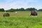 Tractor bale hay in field, blue tractor to collect hay in bales