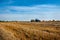 tractor with a baler in the field collects straw in bales,