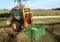 Tractor with a box lift carrying a large plastic bulk bin, for processing food, full of freshly picked apples