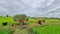 Tractor carries grass in the ricefield.