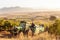 A tractor carrying farm workers into the field to harvest grapes