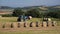 The tractor collects bales with hay in the field