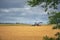 Tractor crossing a yellow grain field