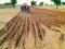 Tractor cultivating agriculture land to grow crop in desert area of India