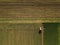 Tractor cultivating corn crop field, aerial view