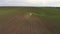 Tractor cultivating field at spring, aerial sunset view