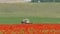 Tractor Cultivating Poppy Field