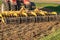 Tractor cultivator plows the land, prepares for crops. dust on field