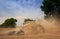 Tractor cultivator raises great dust on ploughed field