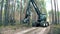 A tractor cuts a tree in forest.