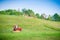 Tractor cutting grass