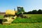 Tractor cutting grass meadow