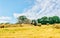 Tractor cutting hay in summer time against blue cloudy sky,  haystacks on the field