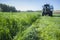 Tractor cutting and swathing alfalfa