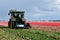 Tractor cutting the tulips