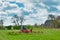 Tractor-drawn rotary tedder on a green meadow