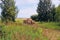 Tractor driven fresh hay on special agricultural trailer.