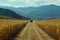 Tractor driving along the road in a field of ripe dry corn against the background of high mountains