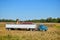 Tractor emptying its load of harvested corn