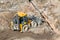 Tractor excavator with bucket rides running through mud lands setting, view from the height.