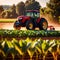 Tractor in farm field, working with crops, agriculture industry machinery