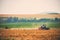 Tractor and feeding storks in a field, agriculture landscape