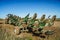 Tractor in the field. Agricultural machinery. Agricultural farm tractor during tillage of soil and field after harvest.