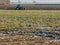 Tractor in field in Dutch polder, Holland