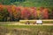 Tractor in the field surrounded by colorful trees at autumn