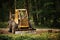 Tractor in the forest