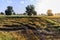 Tractor harvester tracks in muddy rice field