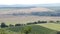 Tractor harvesting agriculture field in vineyard. Palava, Czech republic