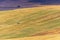 Tractor harvesting crops on a field in the mountains