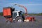 Tractor harvesting lavender in a field