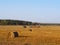 Tractor harvesting straw bales, autumn agriculture background