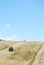 Tractor harvesting wheat field