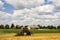 Tractor harvesting wheat field