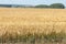 Tractor hauling a round bale an open field with blue sky.