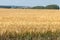 Tractor hauling a round bale an open field with blue sky.