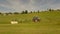 Tractor hay harvesting in a field in Bavaria, Germany in the summer. Agricultural trucks mow a meadow in the Bavarian