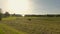 Tractor hay harvesting in a field in Bavaria, Germany in the summer. Agricultural trucks mow a meadow in the Bavarian