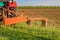 A tractor with implements mower cuts clover. Tractor mowing paddock