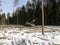 Tractor loading timber in winter forest