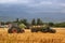 Tractor loads stacks of hay into a ZIL truck on a farm field in the Almaty region of Kazakhstan. Harvesting, copy space